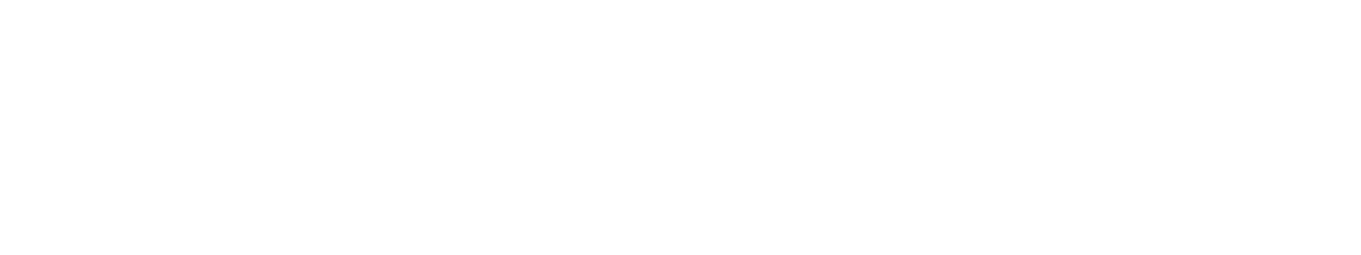 Visualizze